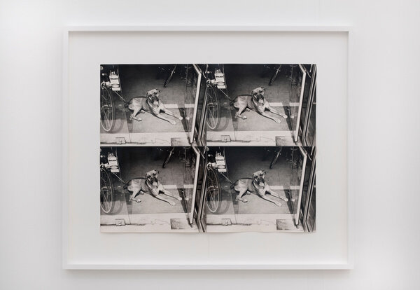 Andy Warhol Photography Archive - Spotlight Exhibits