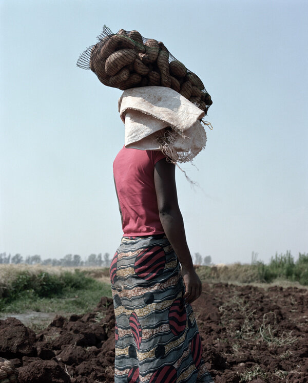 市場価格高騰中　THE FARM / JACKIE NICKERSON 写真集 市場価格高騰中 THE FARM / JACKIE NICKERSON 写真集 - メルカリ